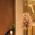 Photo of Trident Bandra Kurla Mumbai