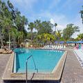Photo of Tropical Palms Resort