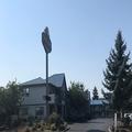 Photo of Tulip Inn