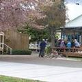Photo of Turangi Bridge Motel