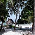 Image of Twisted Palms Lodge & Restaurant