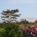 Image of Ubud Wana Resort