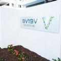 Photo of Verve on Cotton Tree