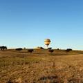 Image of Vila Gale Alentejo Vineyards Hotel - Clube de Campo