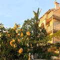 Exterior of Villa Pape