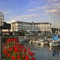 Image of Watkins Glen Harbor Hotel