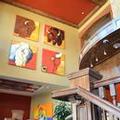 Image of White Buffalo Club