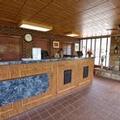 Photo of Wild Bear Inn