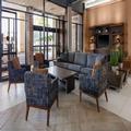 Image of William Tell Hotel Mod Collection by Sonesta