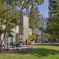 Image of Worldmark Bass Lake