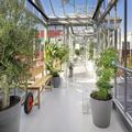 Image of Zoku Copenhagen