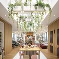 Image of Zoku Vienna