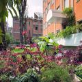 Image of eco Hotel Milano & BioRiso Restaurant