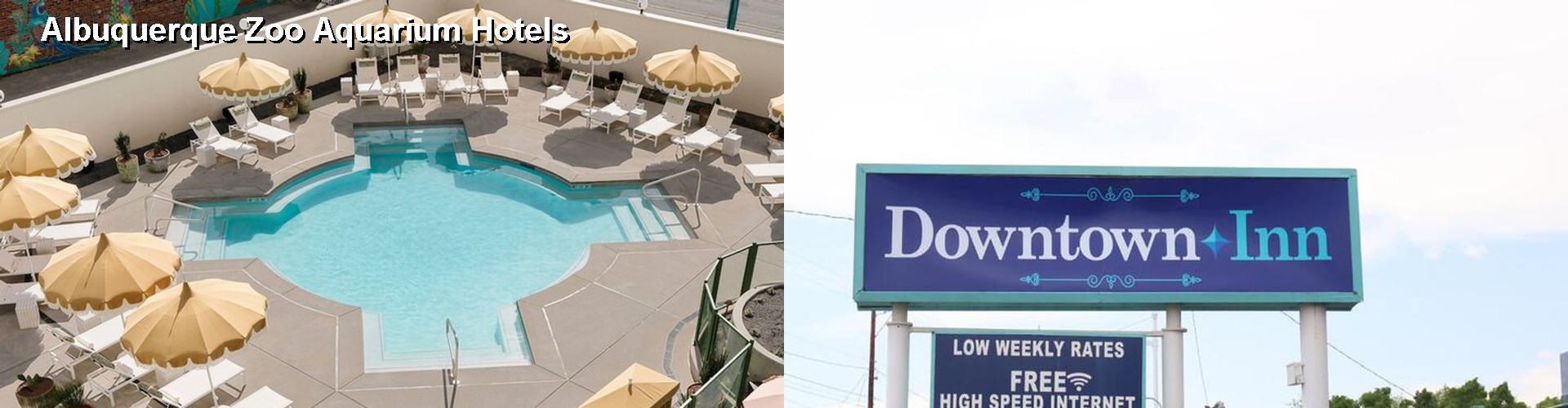 4 Best Hotels near Albuquerque Zoo Aquarium
