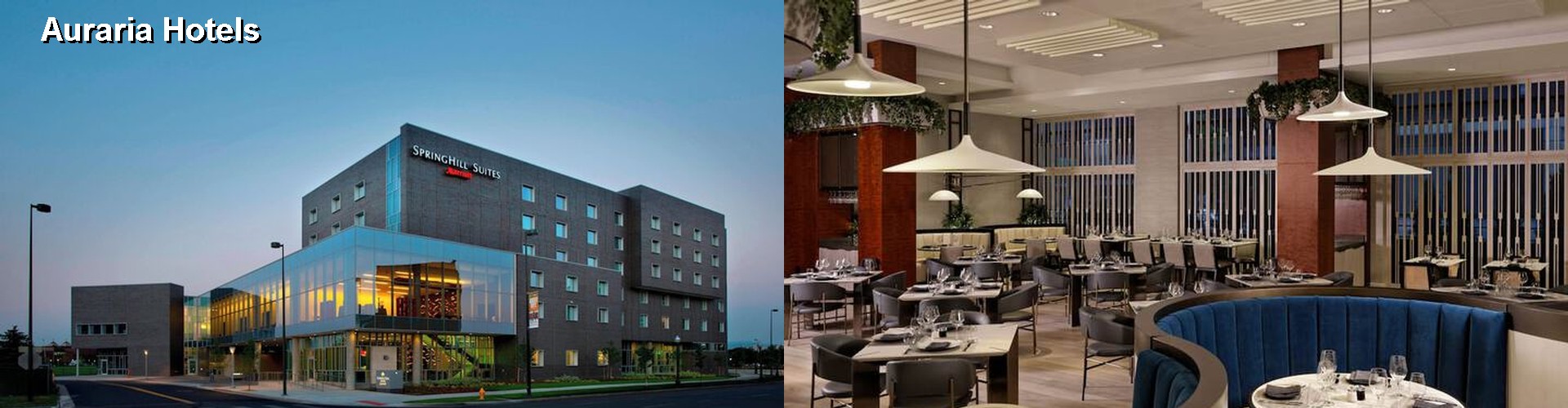 5 Best Hotels near Auraria