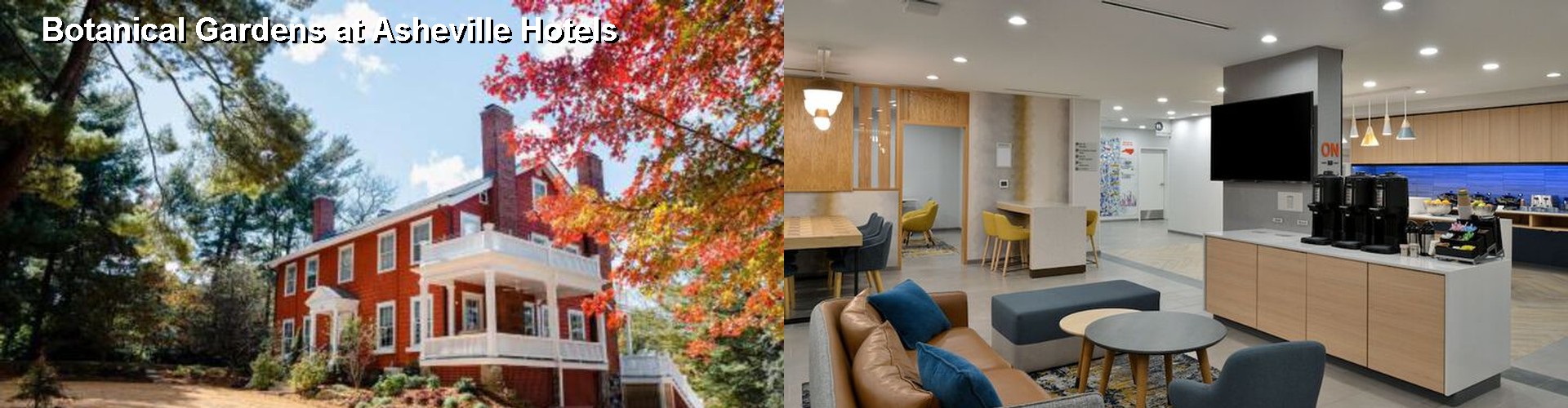 5 Best Hotels near Botanical Gardens at Asheville