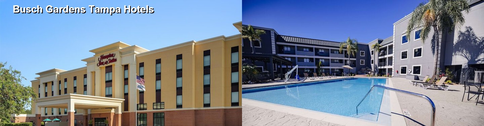 2 Best Hotels near Busch Gardens Tampa
