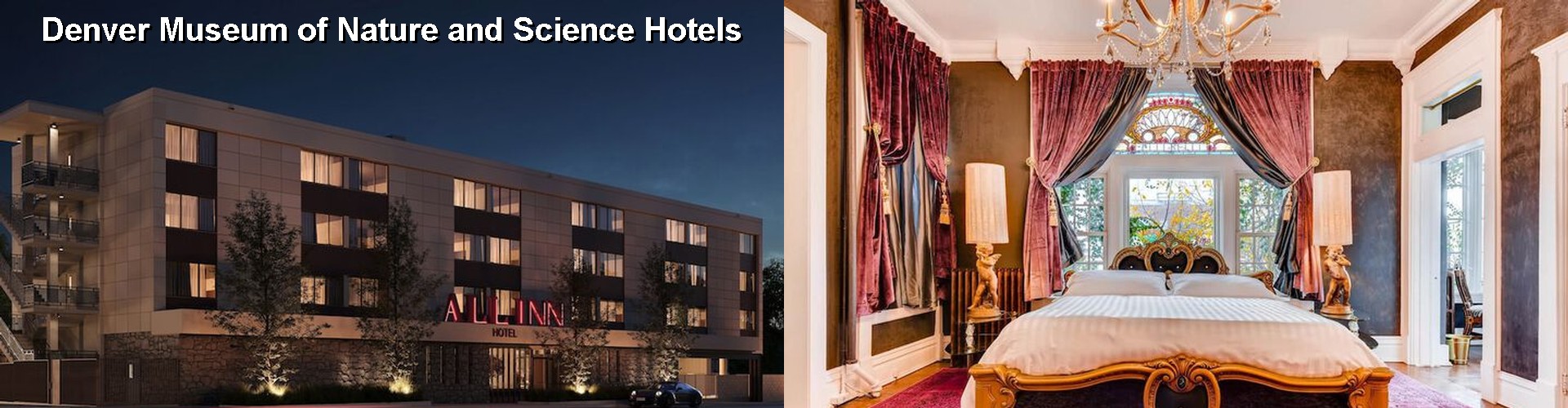 5 Best Hotels near Denver Museum of Nature and Science