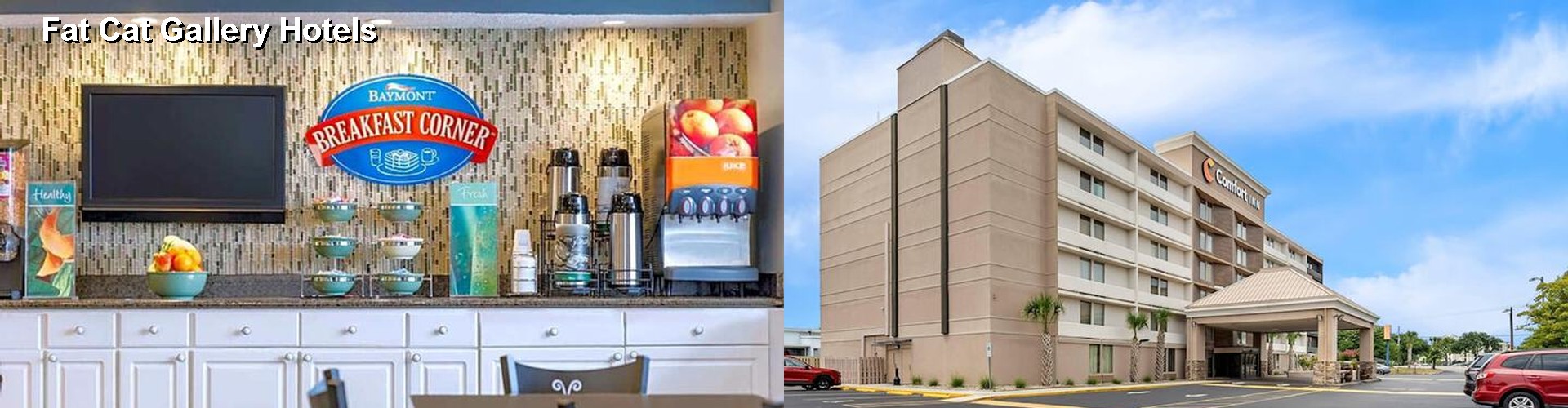 5 Best Hotels near Fat Cat Gallery