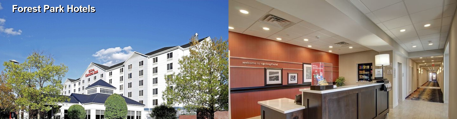 4 Best Hotels near Forest Park