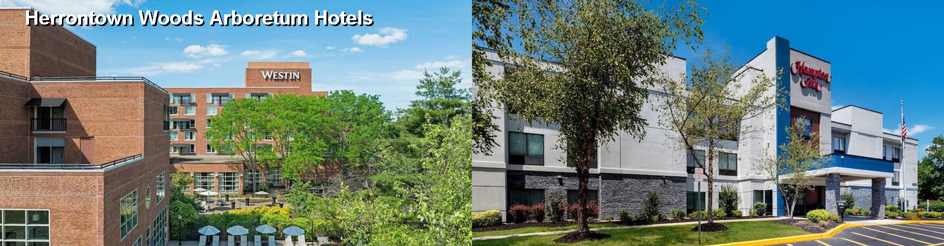 5 Best Hotels near Herrontown Woods Arboretum