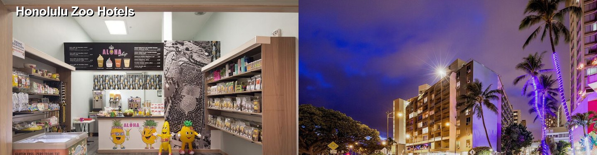 5 Best Hotels near Honolulu Zoo