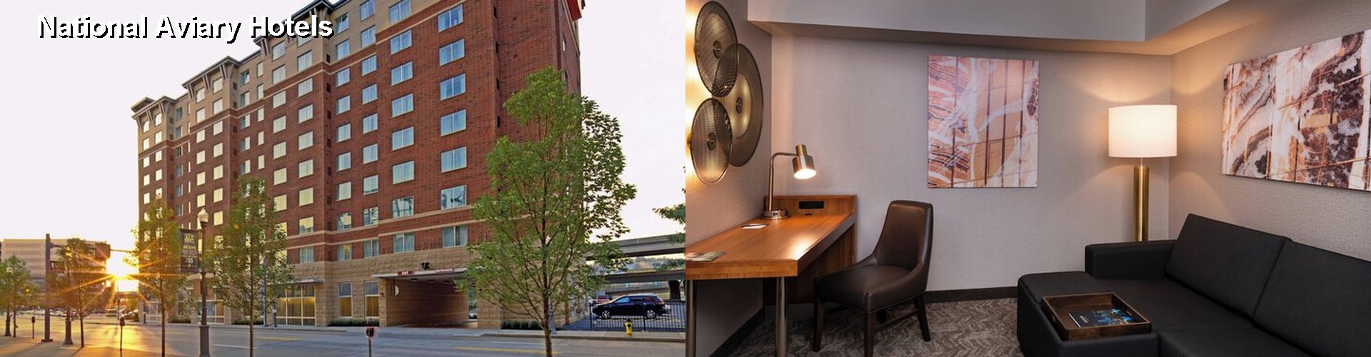 4 Best Hotels near National Aviary