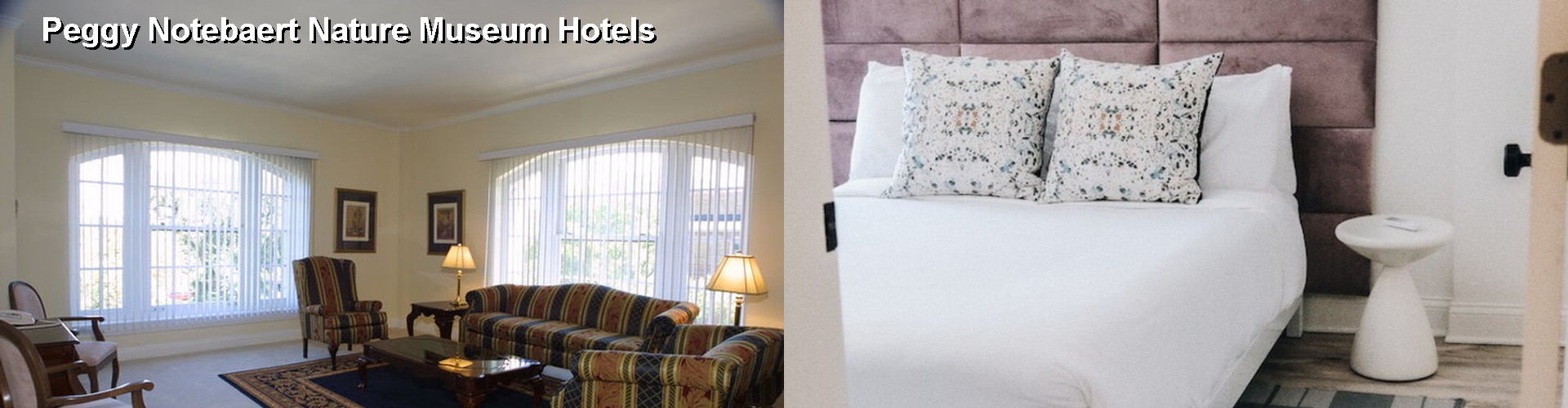 5 Best Hotels near Peggy Notebaert Nature Museum