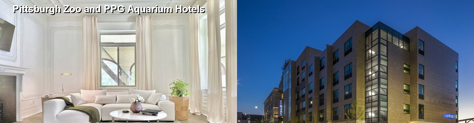 5 Best Hotels near Pittsburgh Zoo and PPG Aquarium