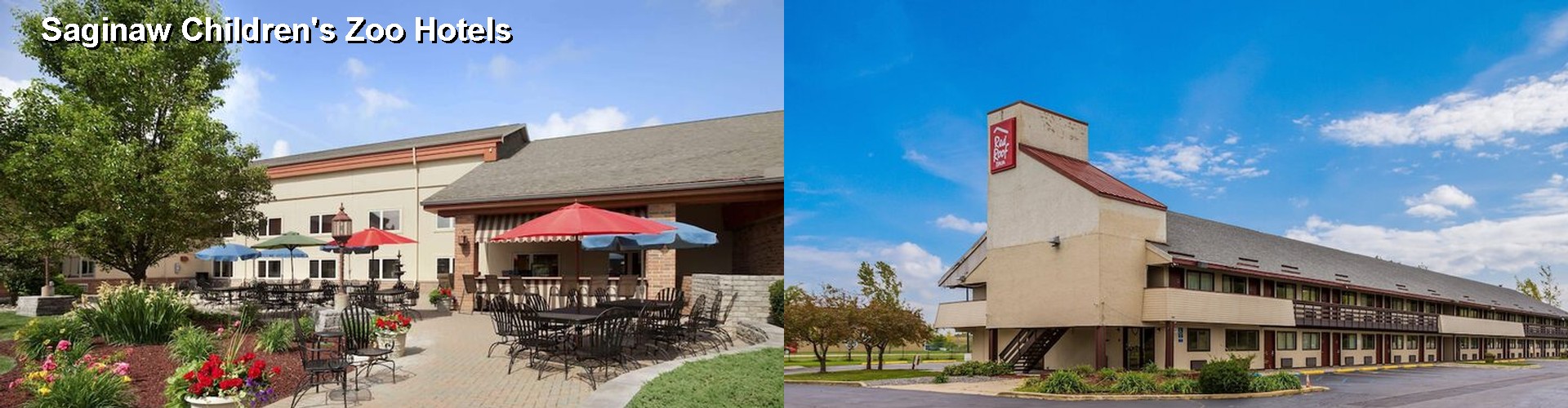 5 Best Hotels near Saginaw Children's Zoo