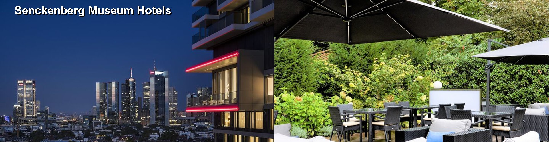 5 Best Hotels near Senckenberg Museum