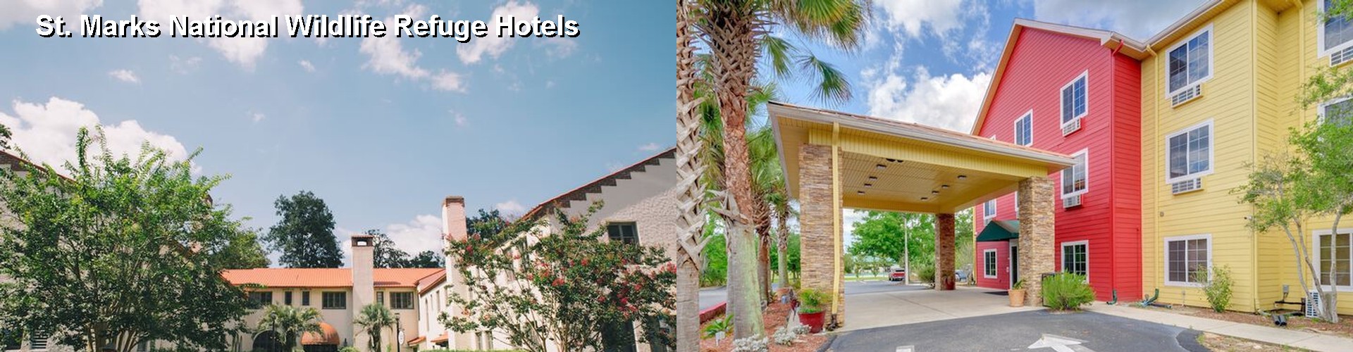 5 Best Hotels near St. Marks National Wildlife Refuge