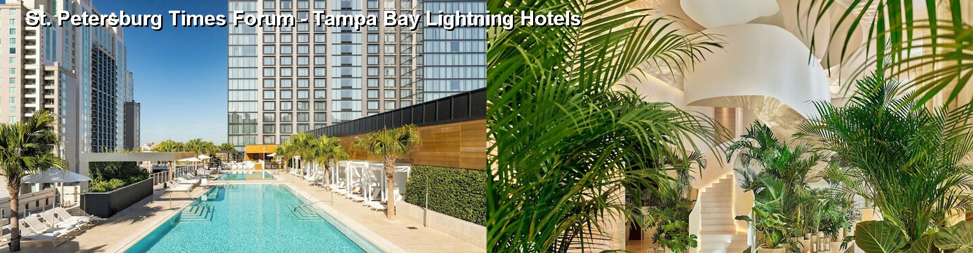 5 Best Hotels near St. Petersburg Times Forum - Tampa Bay Lightning