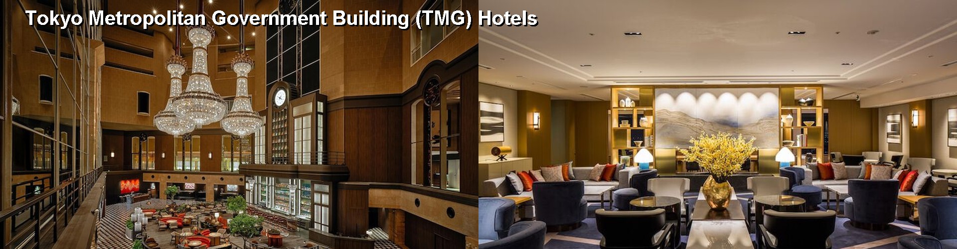 5 Best Hotels near Tokyo Metropolitan Government Building (TMG)