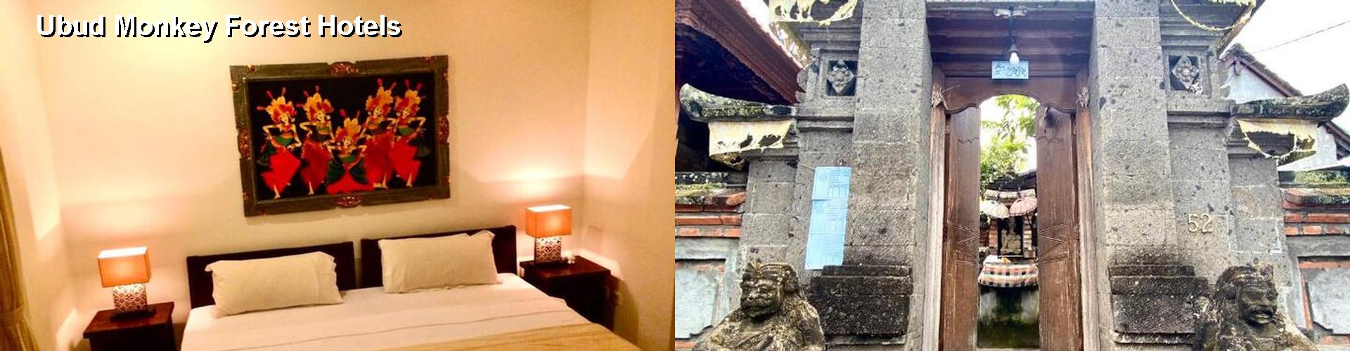 5 Best Hotels near Ubud Monkey Forest