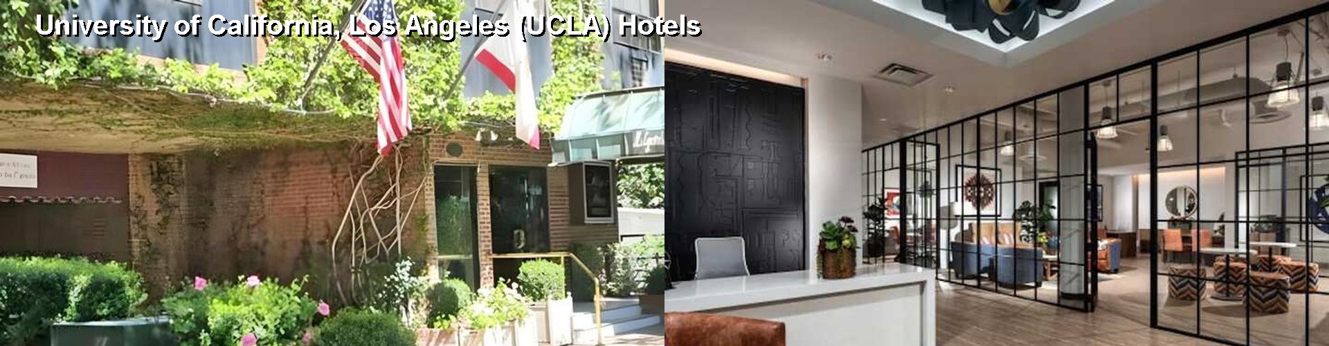 5 Best Hotels near University of California, Los Angeles (UCLA)