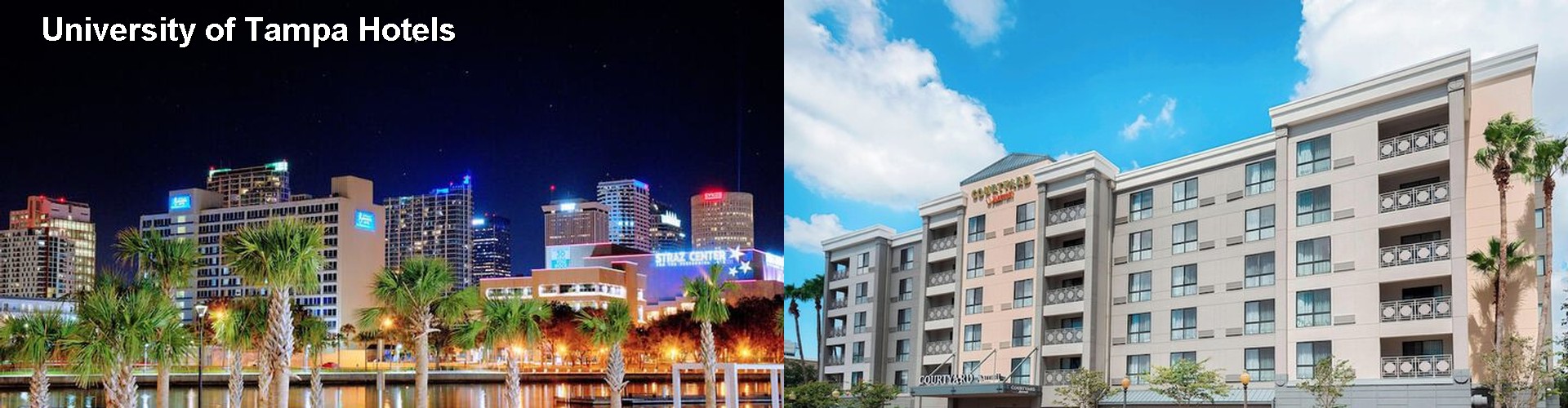 3 Best Hotels near University of Tampa