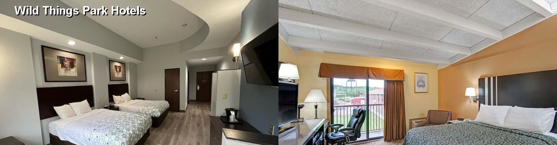 4 Best Hotels near Wild Things Park