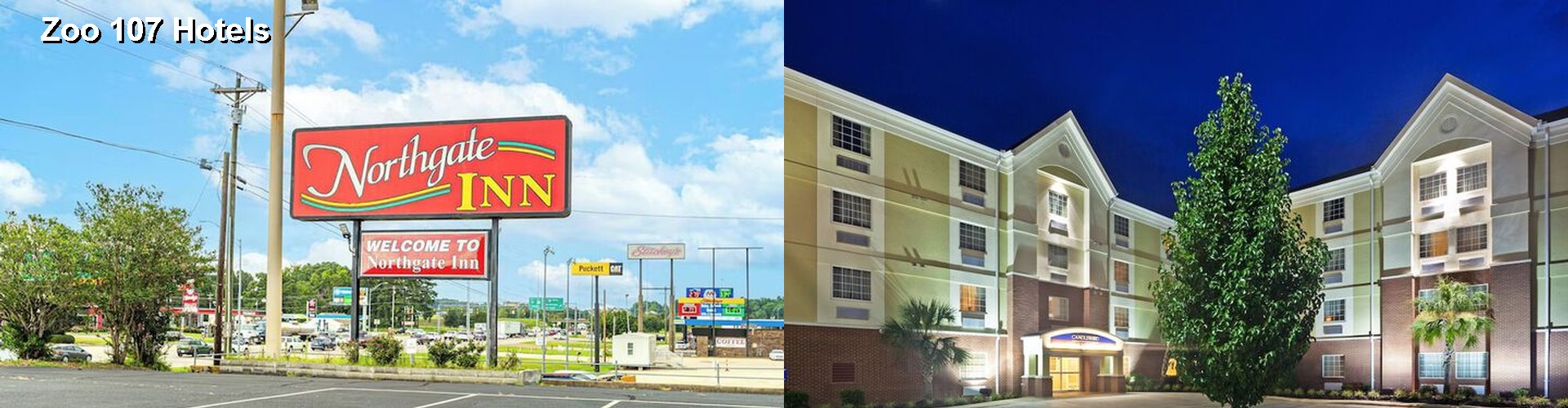 4 Best Hotels near Zoo 107