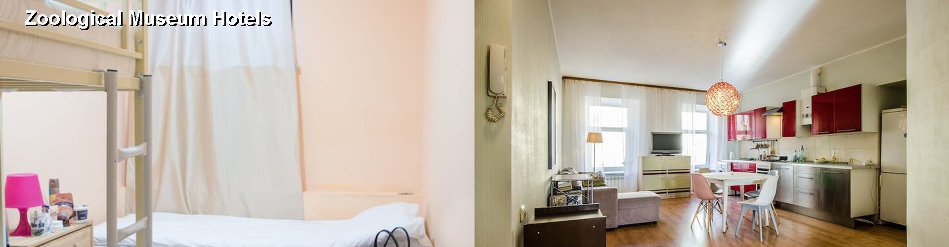 5 Best Hotels near Zoological Museum