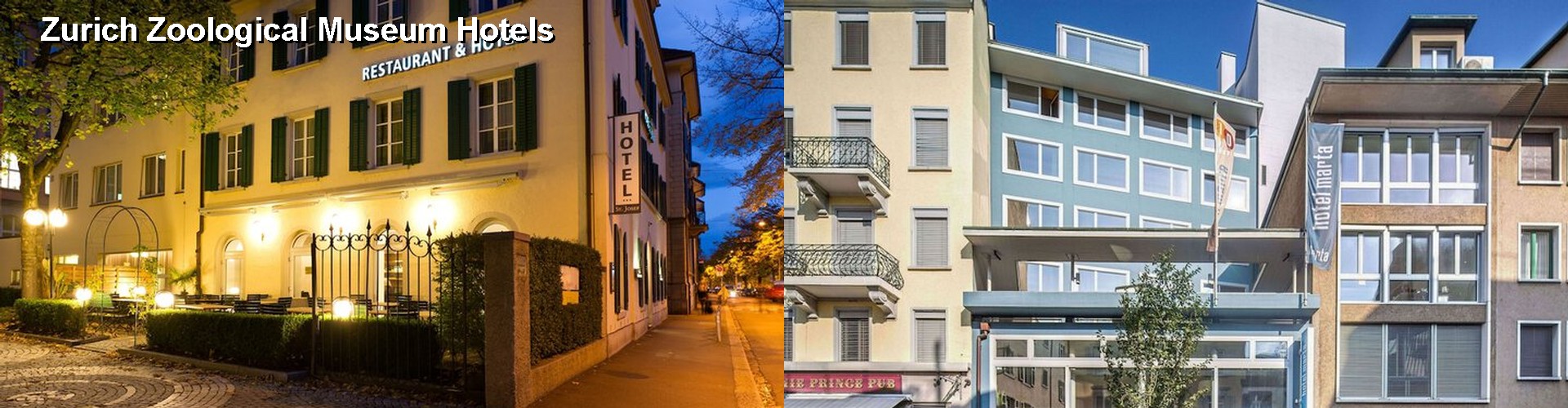 5 Best Hotels near Zurich Zoological Museum