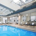 Pool image of AC Hotels by Marriott Chicago Downtown