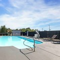 Swimming pool at Best Western Dickson