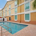 Pool image of Best Western Wesley Chapel