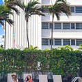 Photo of Circa 39 Miami Beach Pool