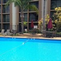 Pool image of Clarion Hotel & Suites