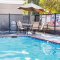 Pool image of Comfort Suites