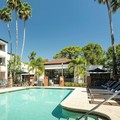 Photo of Courtyard St. Petersburg Clearwater Pool
