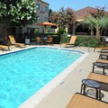 Pool image of Courtyard by Marriott Houston Hobby Airport