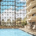 Pool image of Doubletree by Hilton Hotel Newark Airport